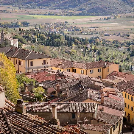 Panorama *